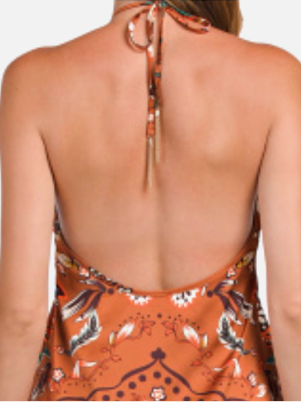 House of Harlow 1960 Tan Halter Maxi Dress with Teal Bird Print